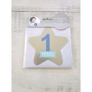 NEW C.R. Gibson Baby First Year Belly Stickers